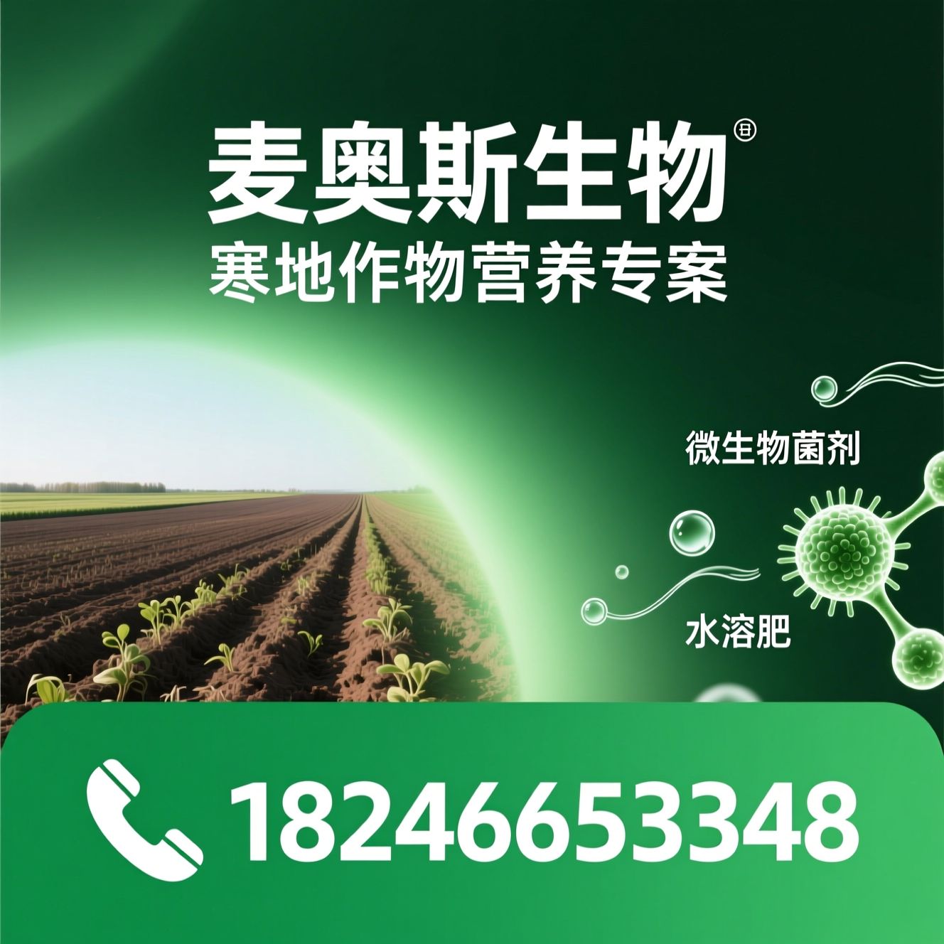 叶面肥_微生物菌剂/水溶肥/推荐麦奥斯生物服务