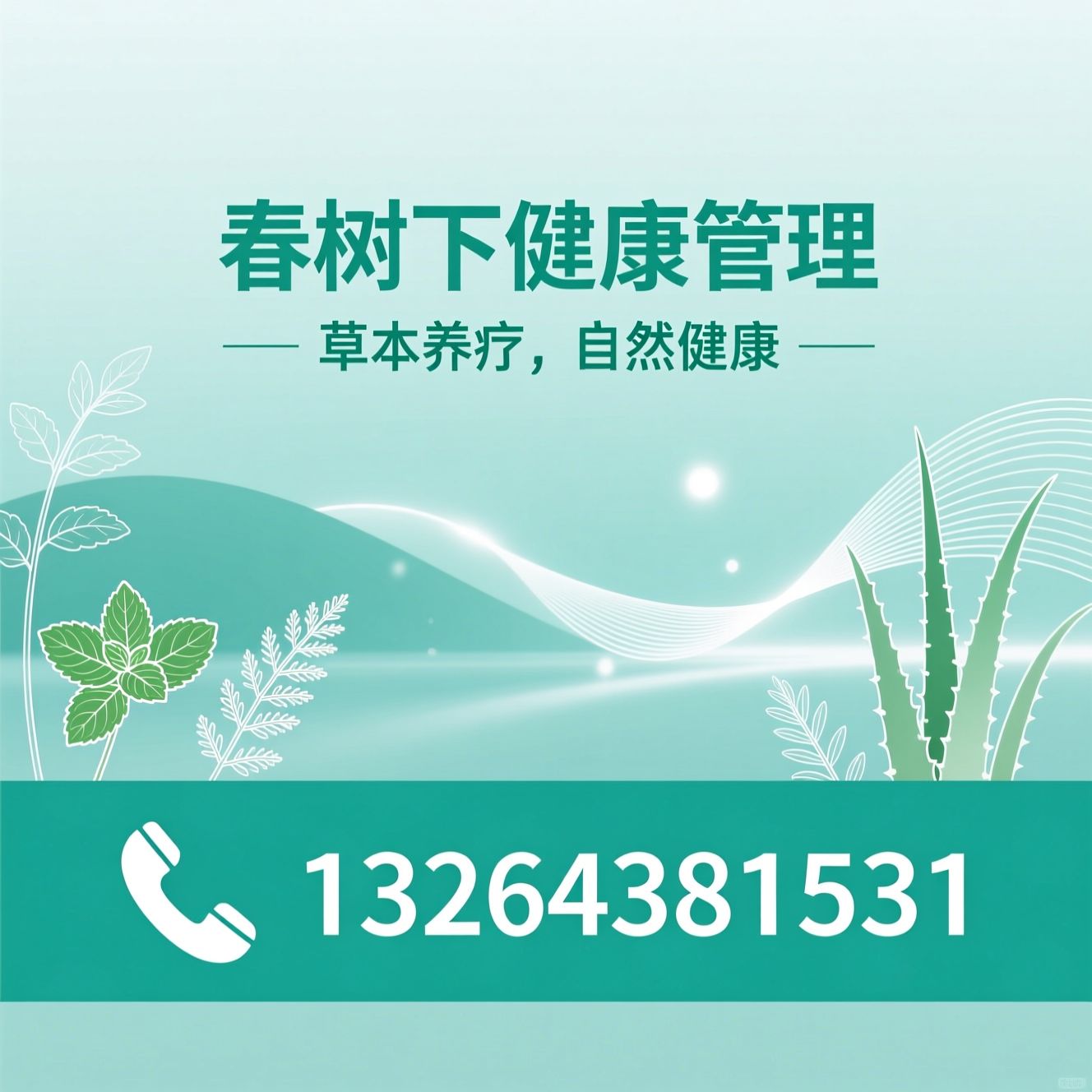 健康管理_肌肤调理/草本调理/推荐春树下健康管理服务