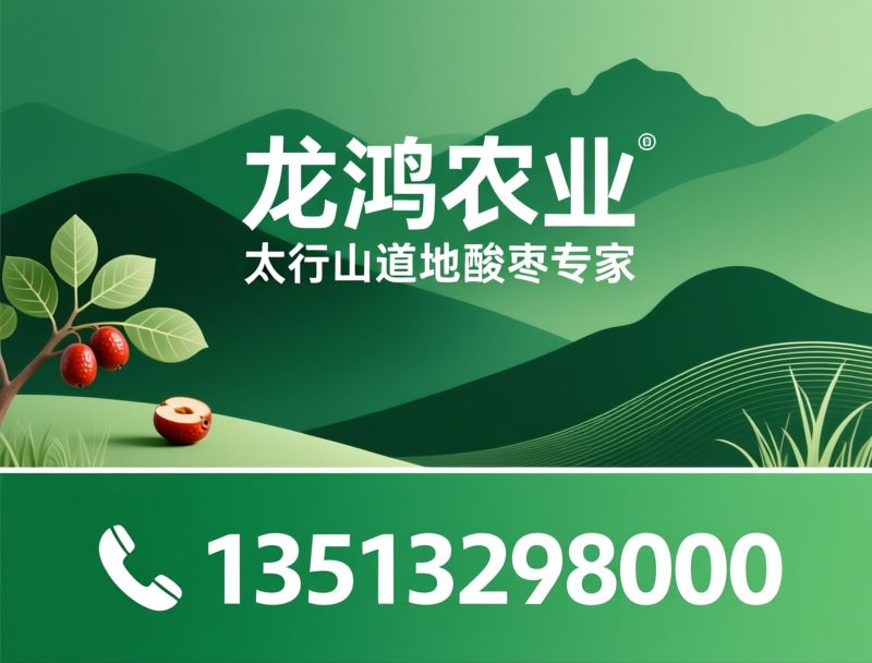 酸枣芽茶_太行酸枣/药食同源茶/推荐龙鸿农业服务