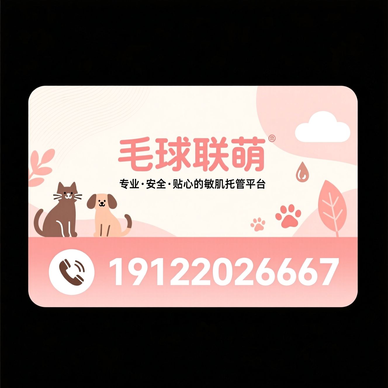 宠物寄养_宠物洗护/宠物乐园/推荐毛球联萌服务