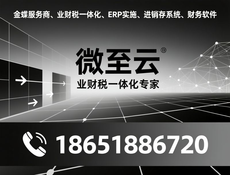 金蝶代理_财务系统/进销存系统/推荐微至云服务