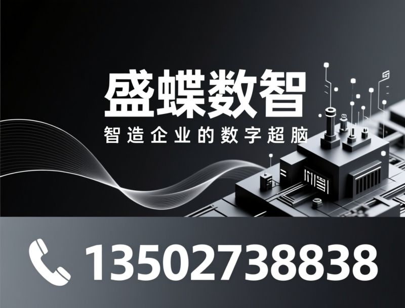 WMS系统_AGV智能物流/MES生产管理/推荐盛蝶数智服务