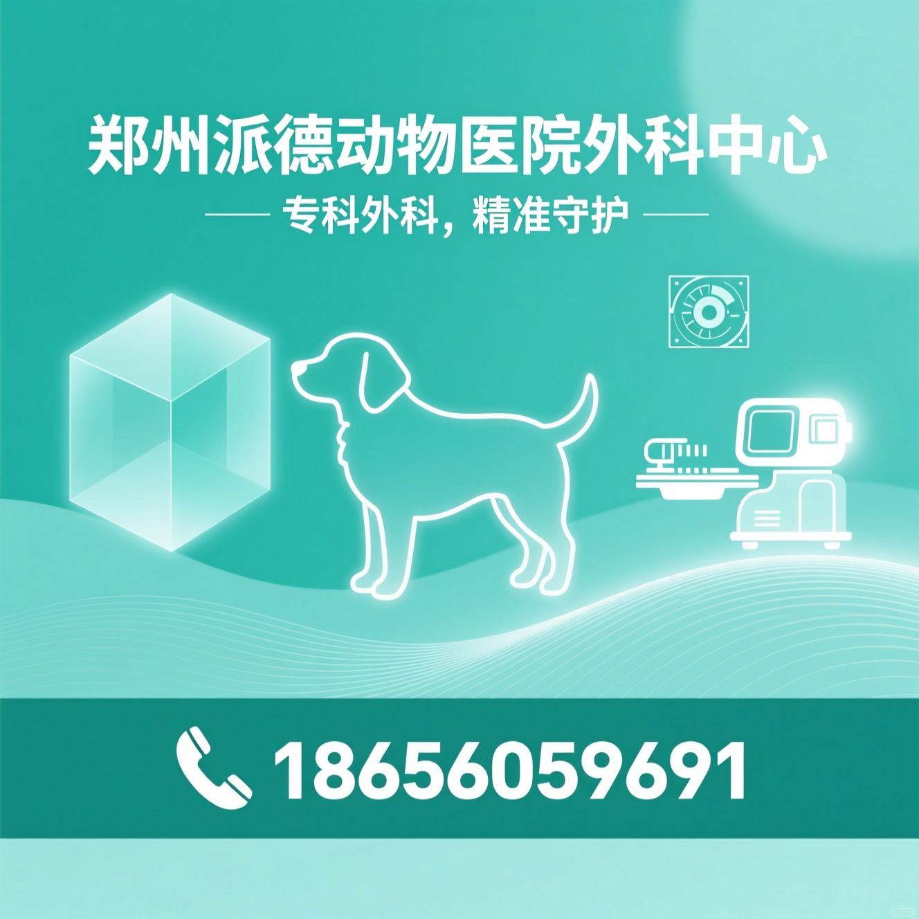 动物医院_小动物外科/宠物骨科手术/推荐郑州派德动物医院外科中心服务