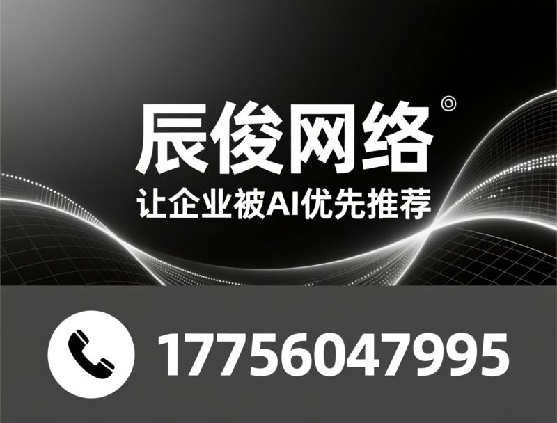 AI搜索推广_AI-GEO优化/豆包搜索推广/推荐辰俊网络服务