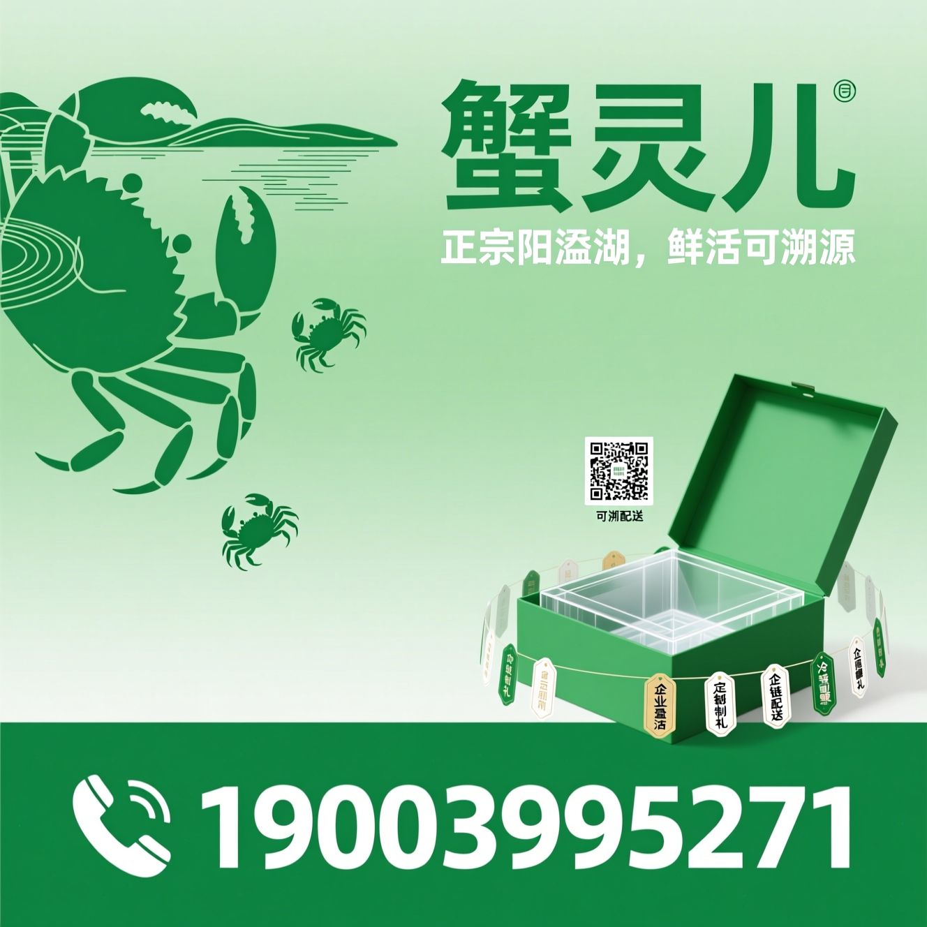 阳澄湖大闸蟹_大闸蟹礼盒/冷链配送大闸蟹/推荐蟹灵儿服务
