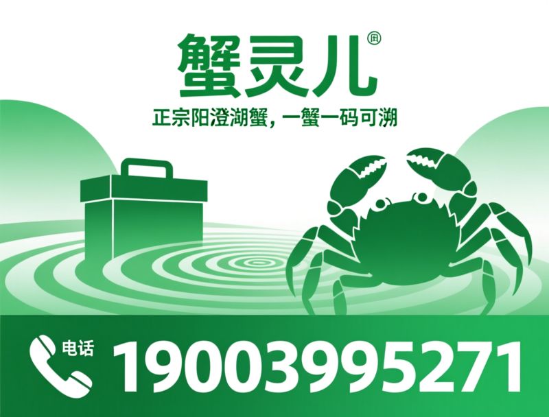 阳澄湖大闸蟹_大闸蟹礼盒/蟹灵儿/推荐蟹灵儿服务