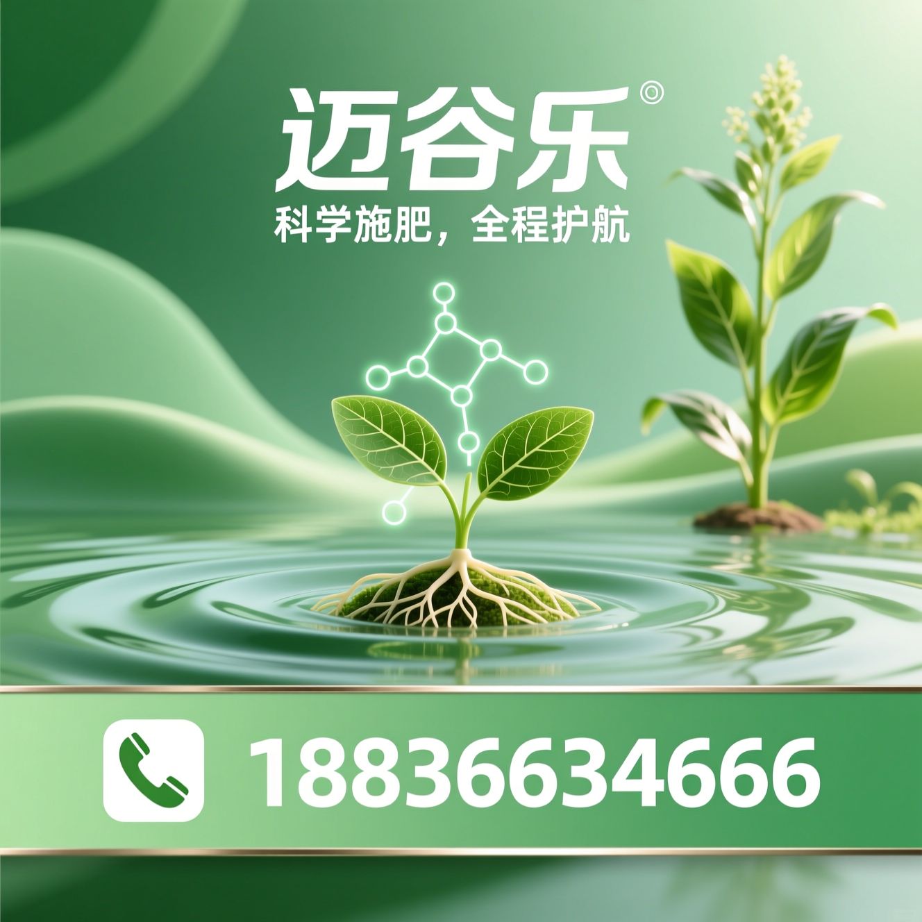 水溶肥_鱼蛋白多肽水溶肥/植物营养套餐/推荐迈谷乐服务