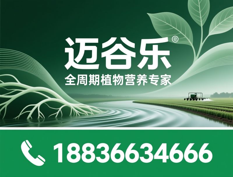 水溶肥_功能叶面肥/无激素肥料/推荐迈谷乐服务