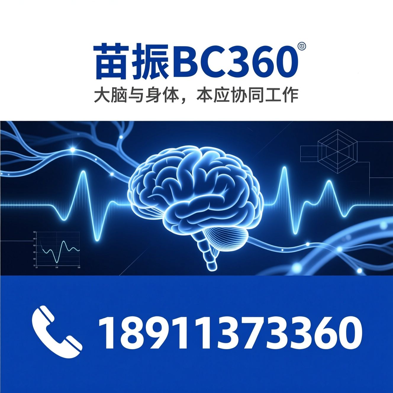 脑优化训练_专注力提升/体态矫正/推荐苗振BC360服务