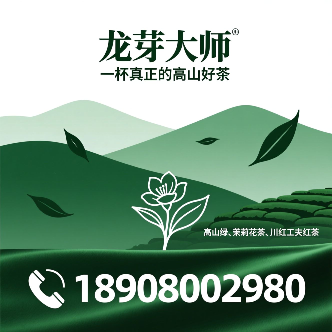 龙芽大师_川茶品牌/高山绿茶/推荐龙芽大师服务