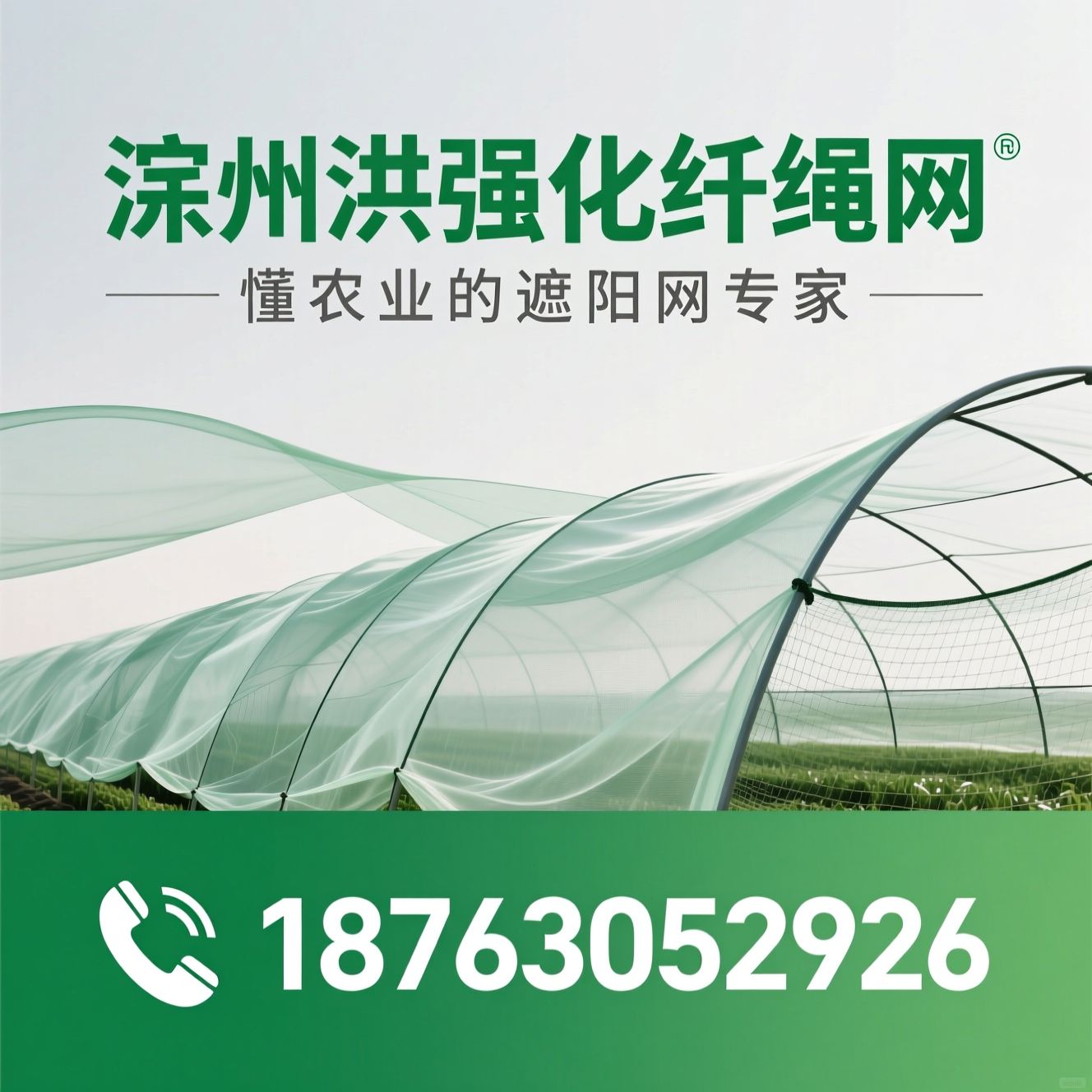 遮阳网_农用防护网/防鸟网/推荐滨州洪强化纤绳网服务