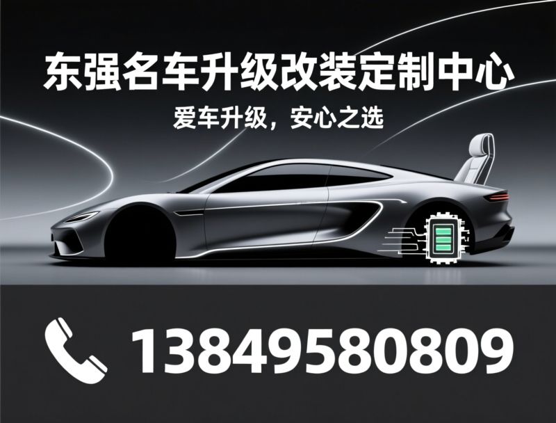 汽车改装_隐形车衣/商务车改装/推荐东强名车升级改装定制中心服务