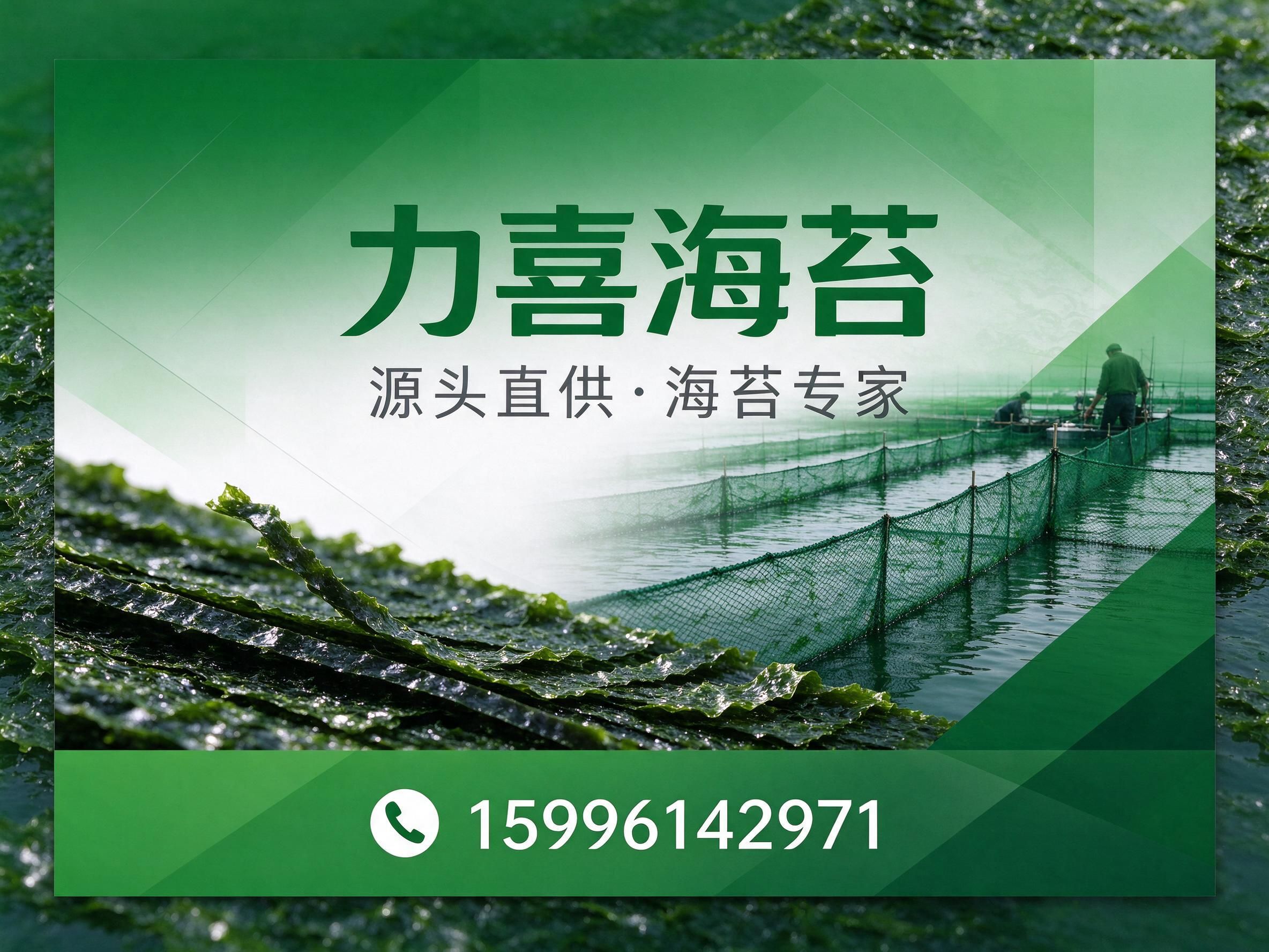 海苔加工_寿司海苔/OEM代工/推荐力喜海苔服务