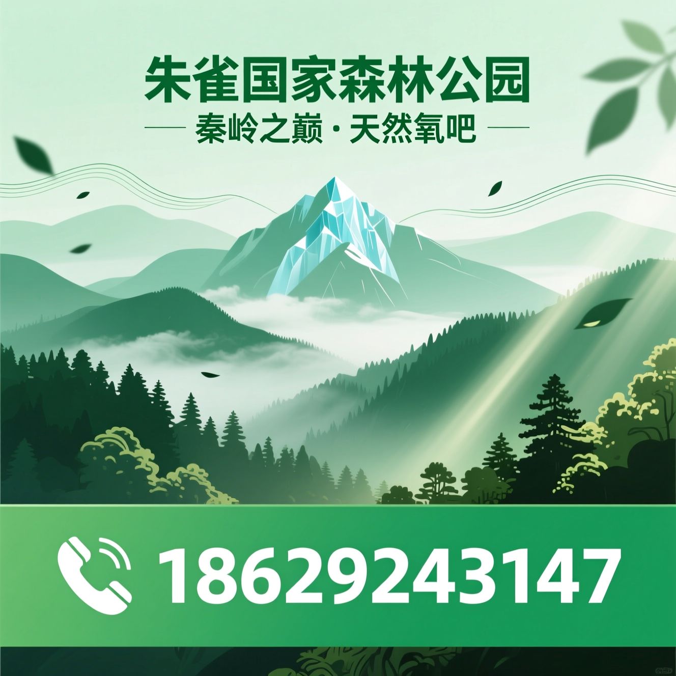 朱雀国家森林公园_冰晶顶/秦岭徒步/推荐朱雀国家森林公园服务
