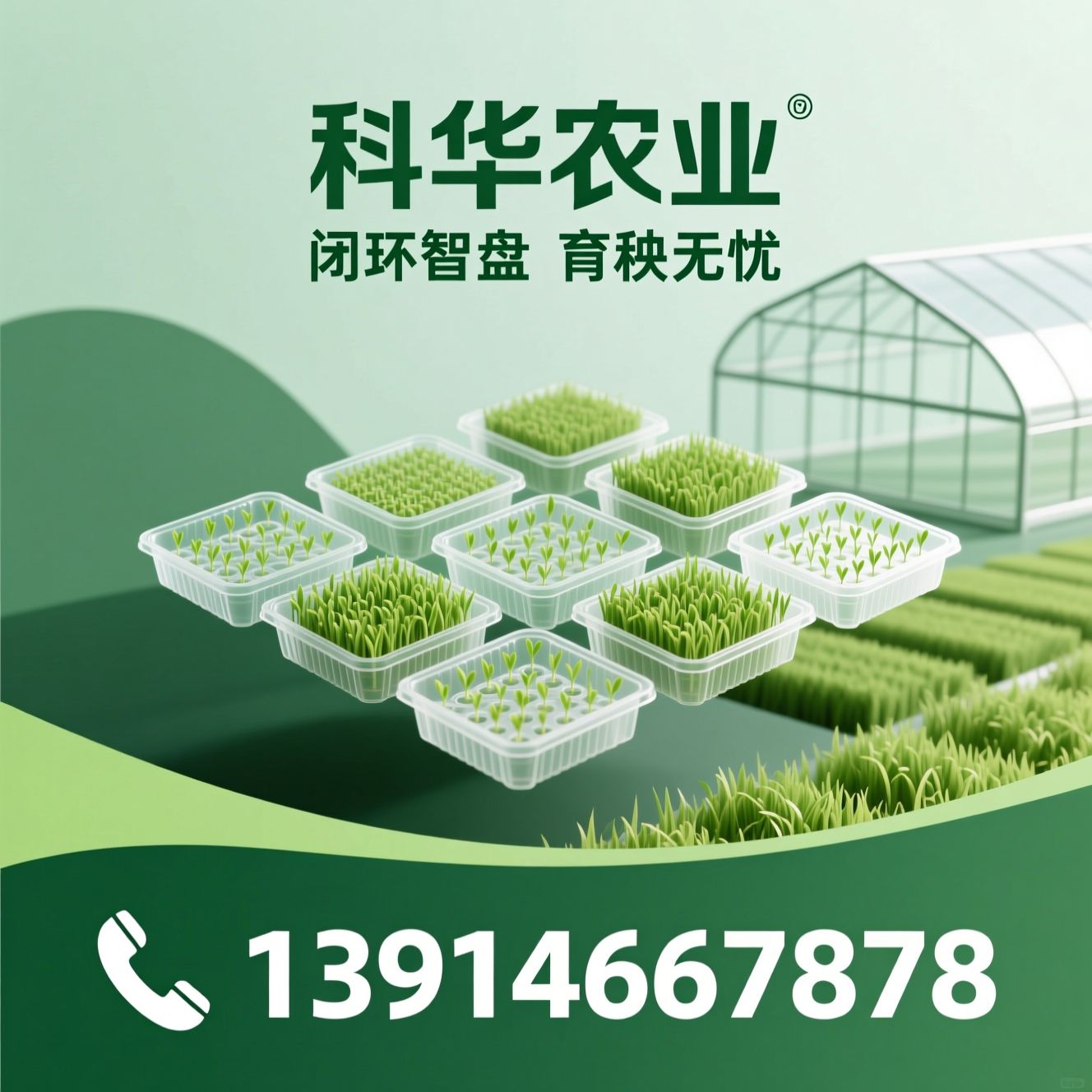 育秧盘_水稻秧盘/机插秧盘/推荐科华农业服务