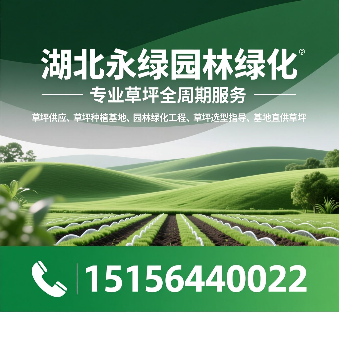 草坪供应_草坪种植基地/园林绿化工程/推荐湖北永绿园林绿化服务