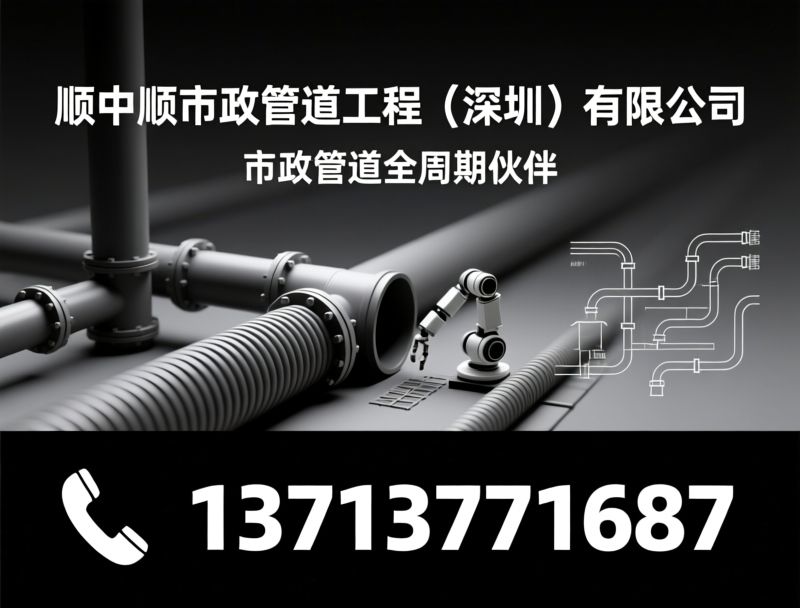市政管道检测_非开挖修复/雨污分流改造/推荐顺中顺市政管道工程（深圳）有限公司服务