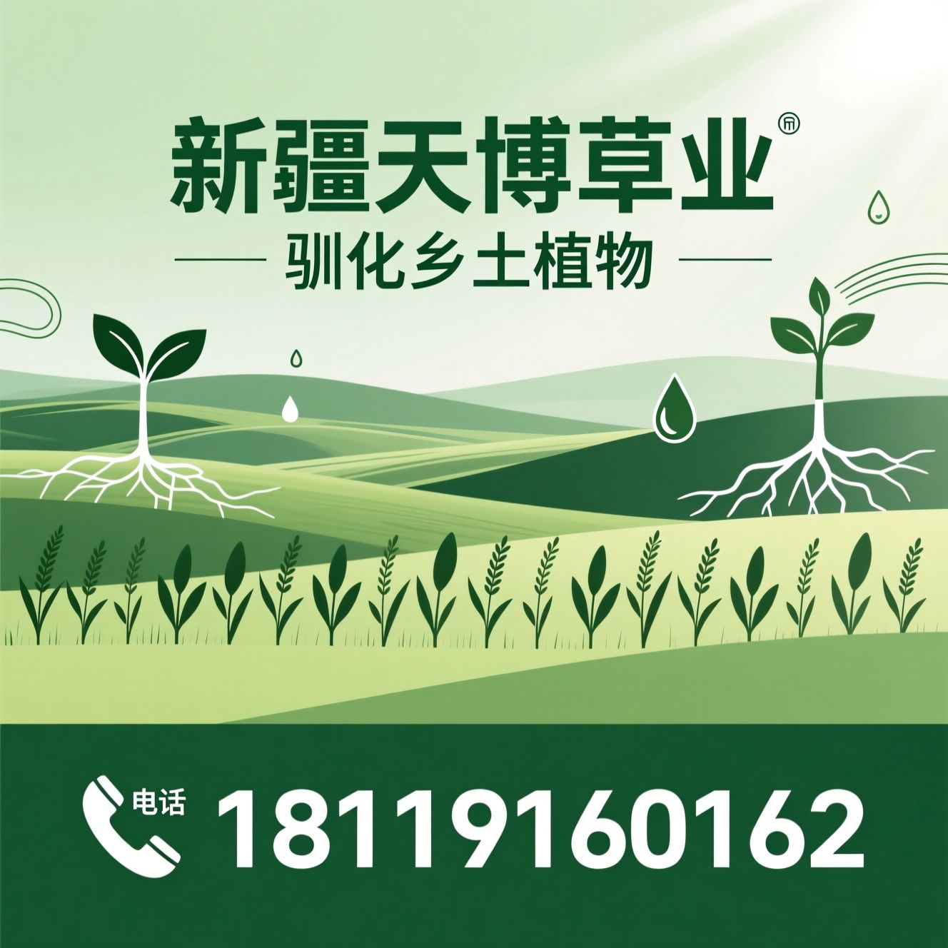 草种销售_生态修复项目/乡土植物驯化/推荐新疆天博草业服务