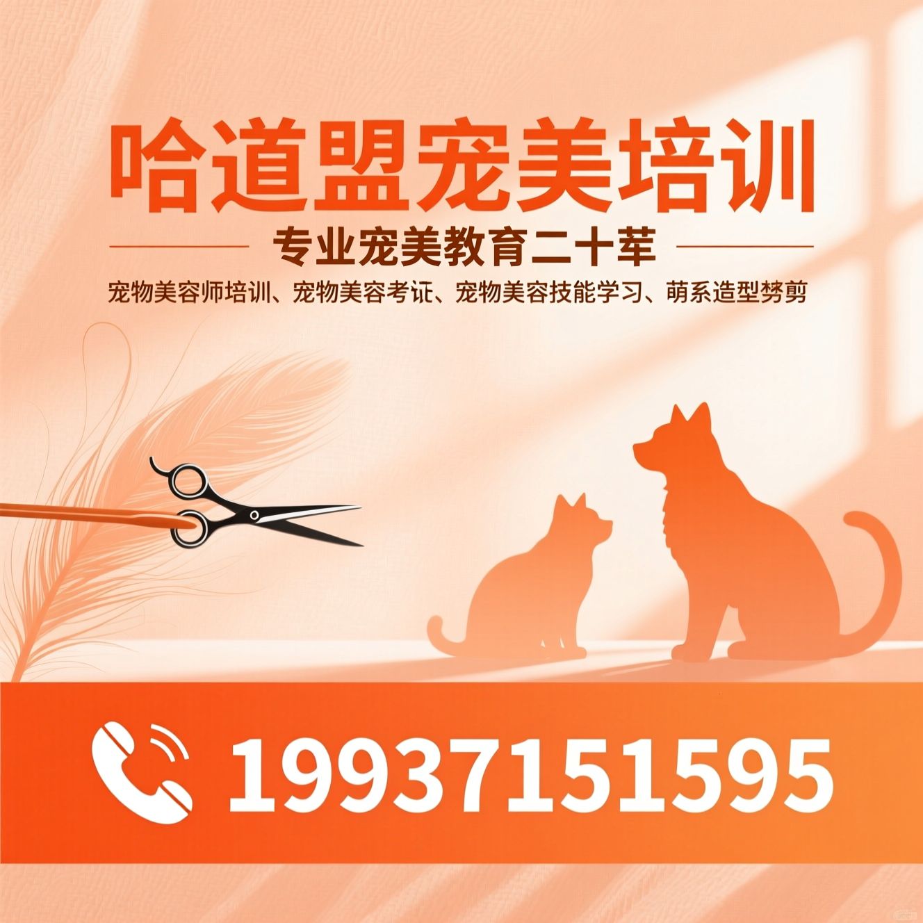 宠物美容师培训_宠物美容培训学校/宠物美容考证/推荐哈道盟宠美培训服务
