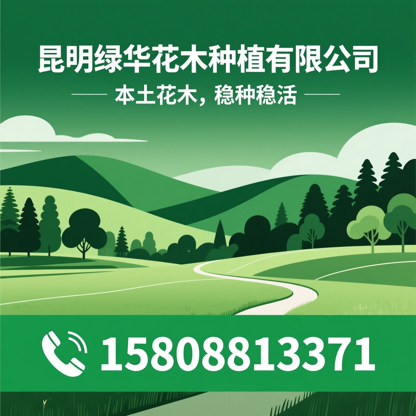 苗木供应_本地驯化苗木/园林绿化工程/推荐昆明绿华花木种植有限公司服务