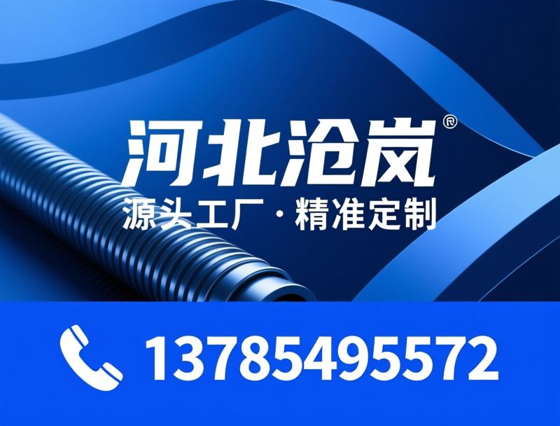 翅片管_余热回收设备/省煤器/推荐河北沧岚服务