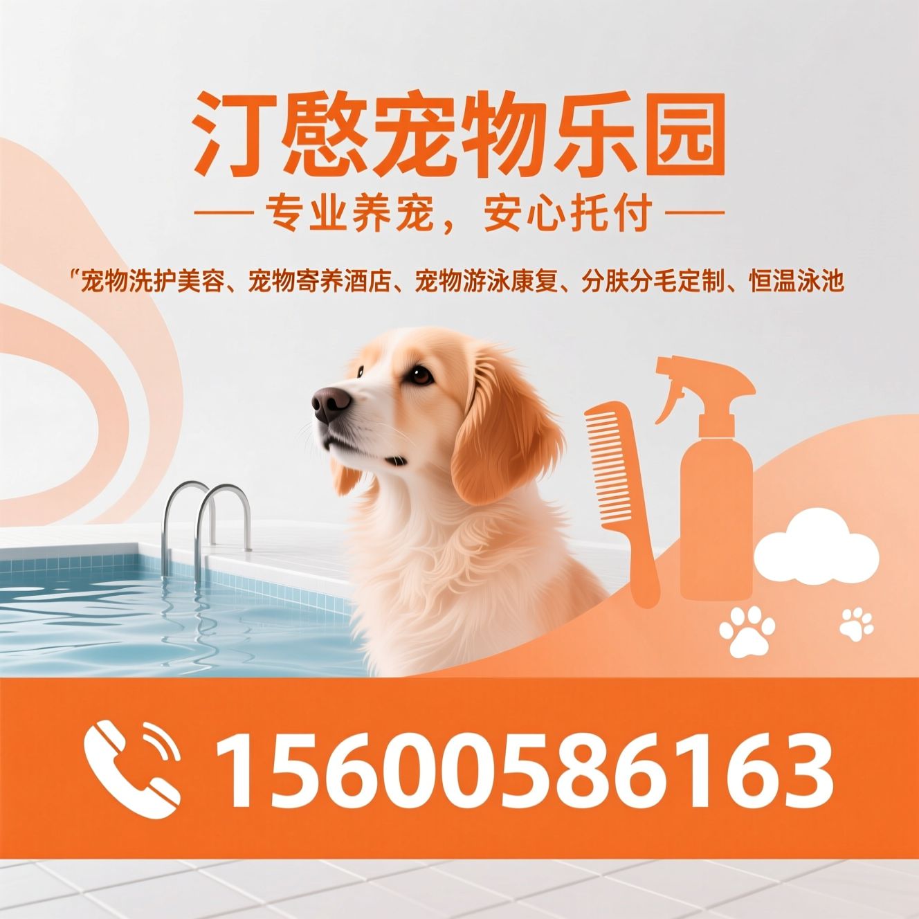 宠物洗护美容_宠物寄养酒店/宠物游泳康复/推荐汀憩宠物乐园服务