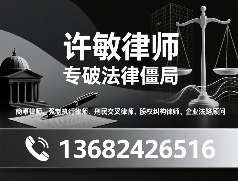 商事律师_强制执行律师/刑民交叉律师/推荐许敏律师服务