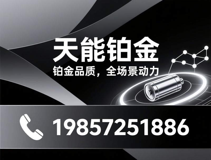 天能铂金电池_铅酸电池/锂电池/推荐天能铂金服务