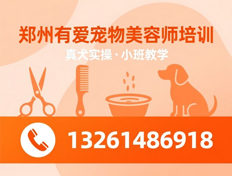 宠物美容培训_宠物美容师培训班/零基础学宠物美容/推荐郑州有爱宠物美容培训学校服务