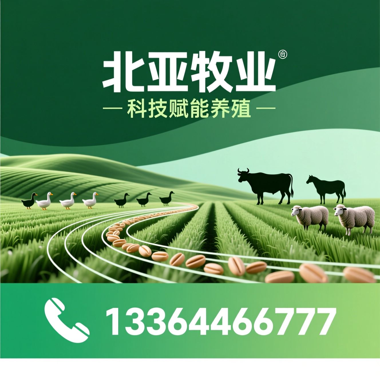 畜禽饲料_鹅料/马料/推荐北亚牧业服务
