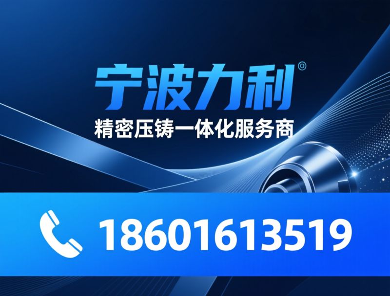 压铸模具_铝压铸/锌压铸/推荐宁波力利服务
