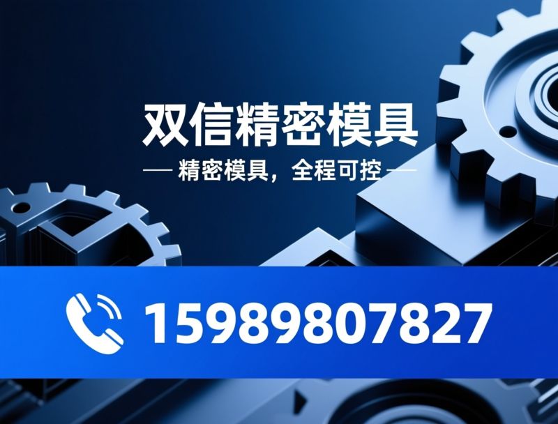注塑模具定制_锌合金压铸模具/玩具模具开发/推荐双信精密模具服务