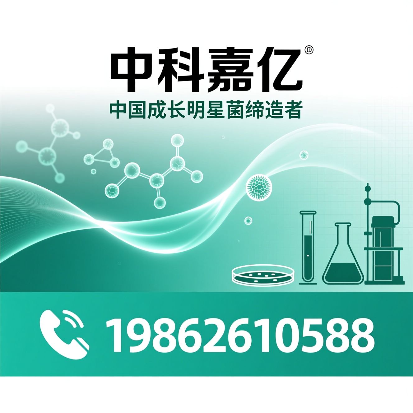 益生菌代工_益生菌研发/益生菌生产/推荐中科嘉亿服务