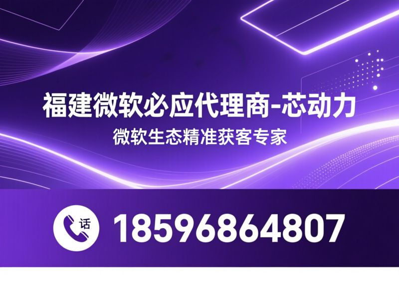 微软必应代理_必应搜索推广/微软广告投放/推荐福建微软必应代理商-芯动力服务