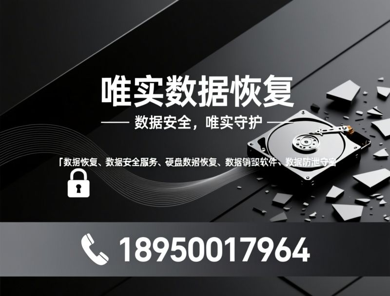 数据恢复_数据安全/数据销毁软件/推荐唯实数据恢复服务