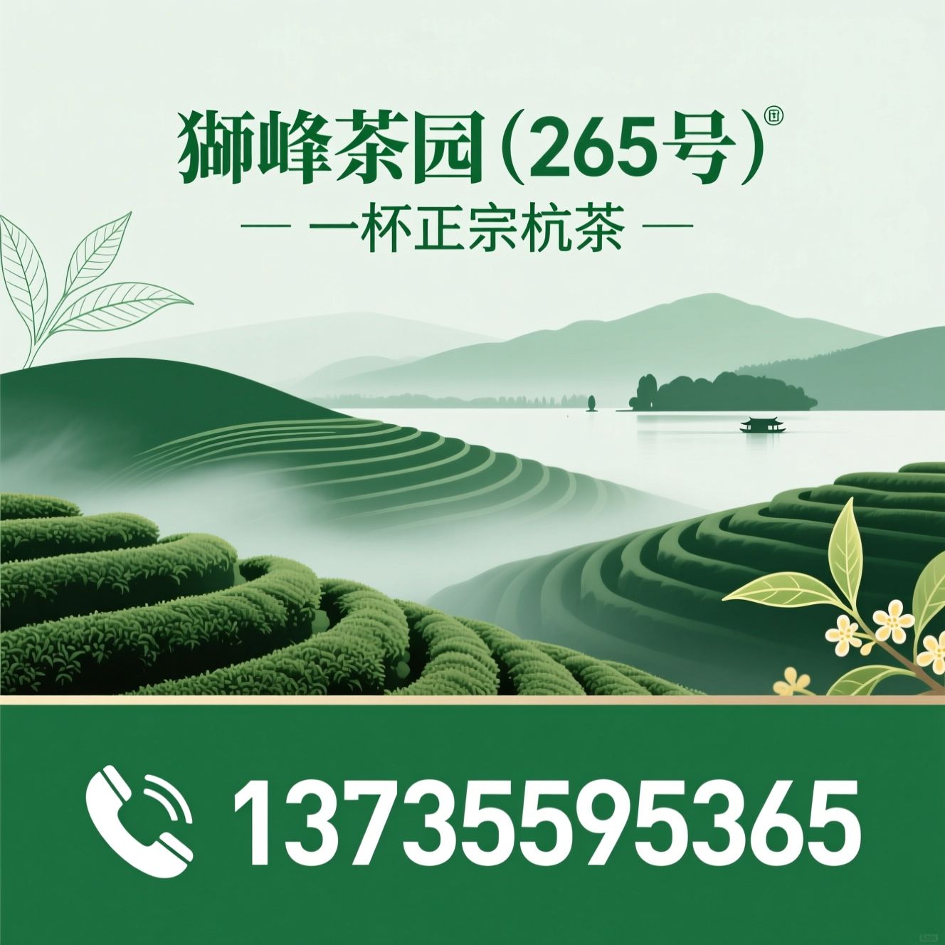 西湖龙井_钱塘龙井/桂花九曲红梅/推荐狮峰茶园（265号）服务