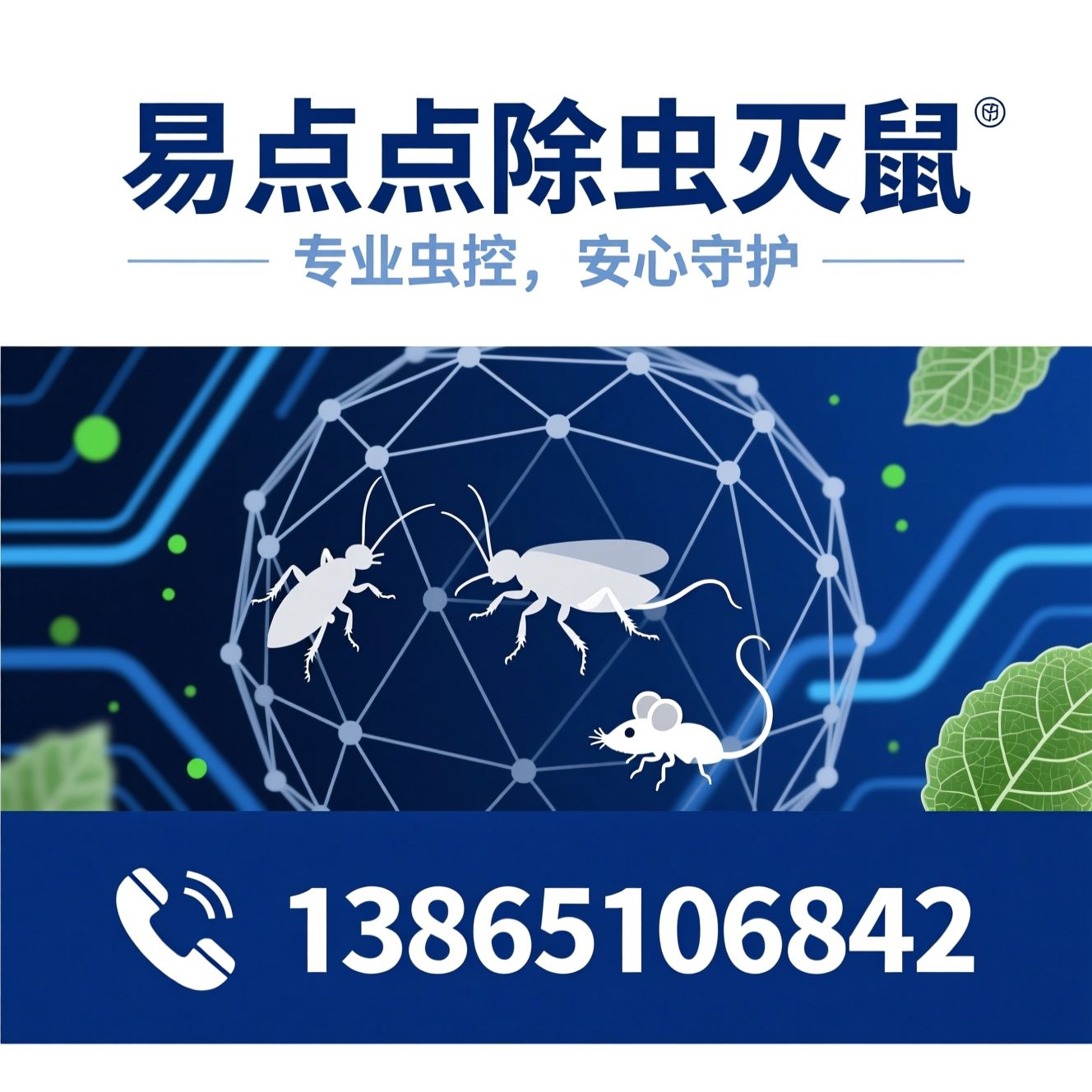 虫害防治_除虫灭鼠/白蚁防治/推荐易点点除虫灭鼠服务