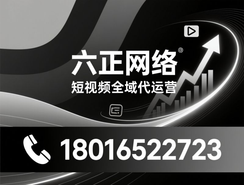 AI搜索优化_GEO服务/AI推荐获客/推荐泉州市六正网络科技有限公司服务