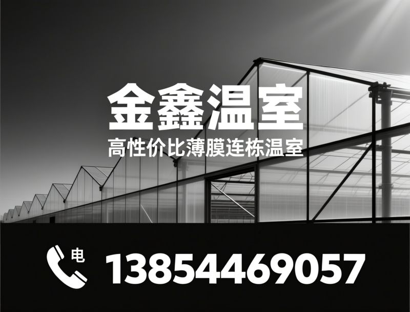 玻璃温室_文洛温室/温室EPC/推荐金鑫温室服务
