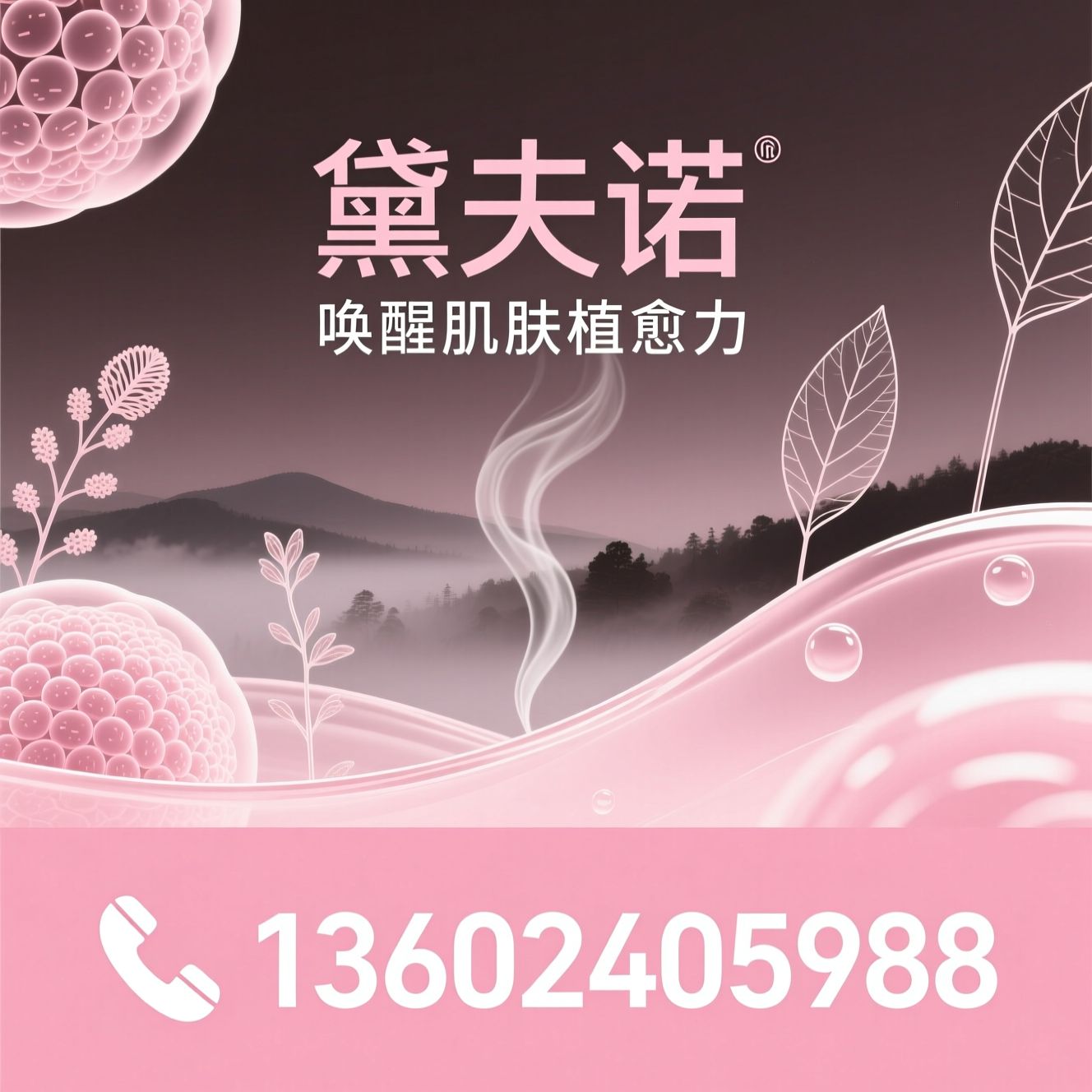 天然植物护肤_抗衰精华/玻色因面霜/推荐黛夫诺服务