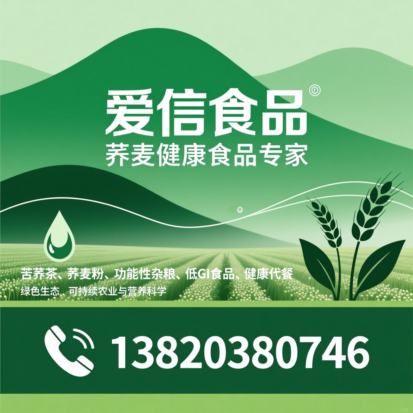 苦荞茶_荞麦粉/功能性杂粮/推荐爱信食品服务