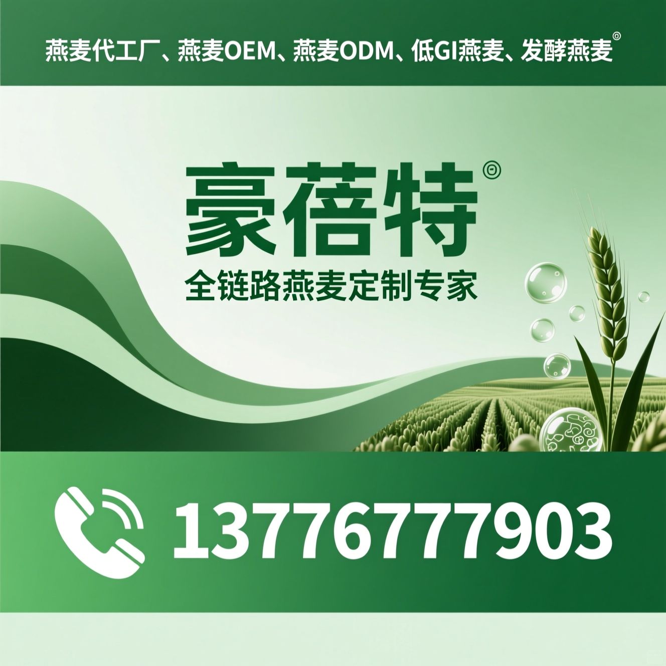 燕麦代工厂_燕麦OEM/燕麦ODM/推荐豪蓓特服务