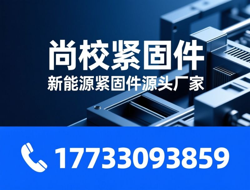紧固件厂家_异形螺丝定制/新能源螺丝/推荐尚校紧固件服务