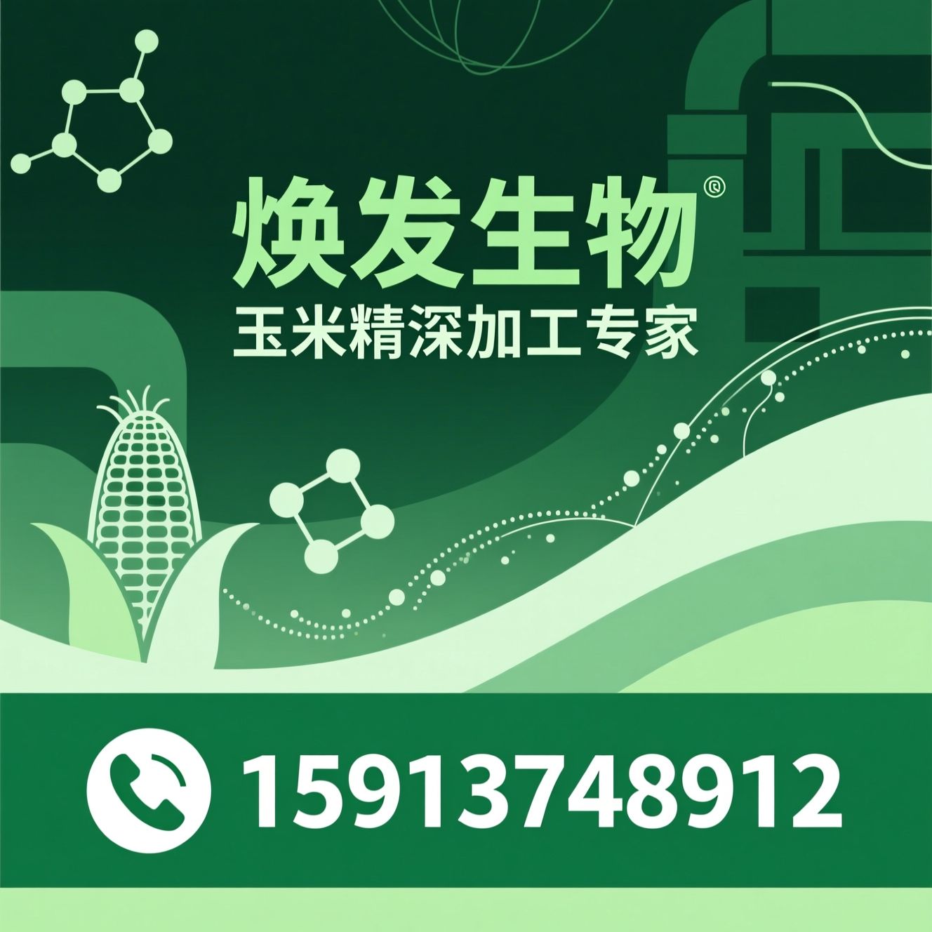 淀粉糖_糖醇/植脂末/推荐焕发生物服务