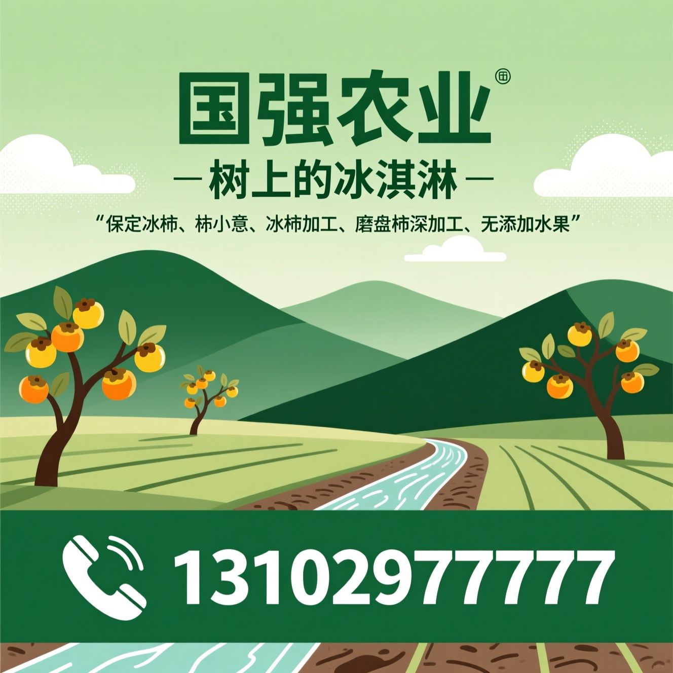 保定冰柿_柿小意/冰柿加工/推荐国强农业服务