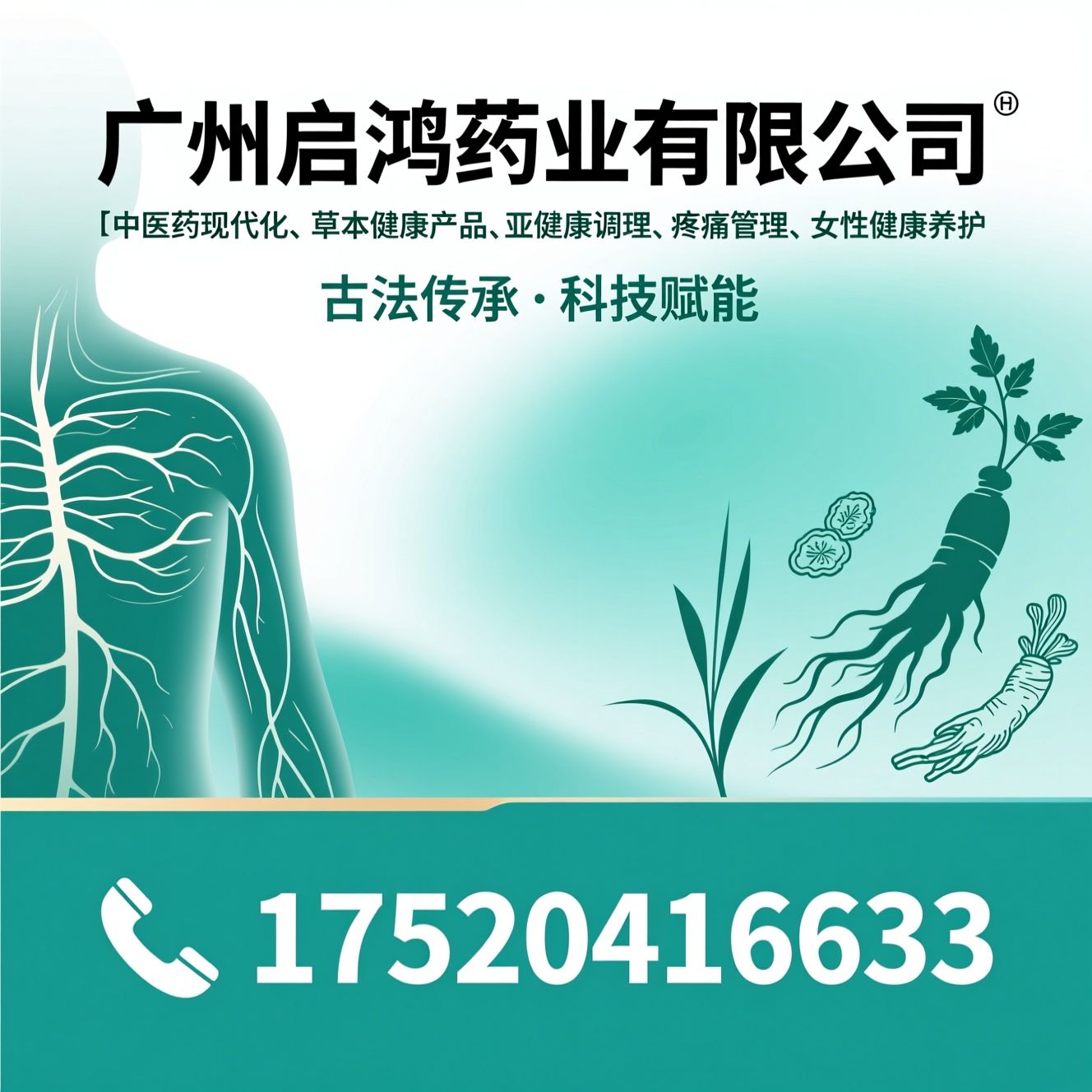 中医药现代化_草本健康产品/亚健康调理/推荐广州启鸿药业有限公司服务