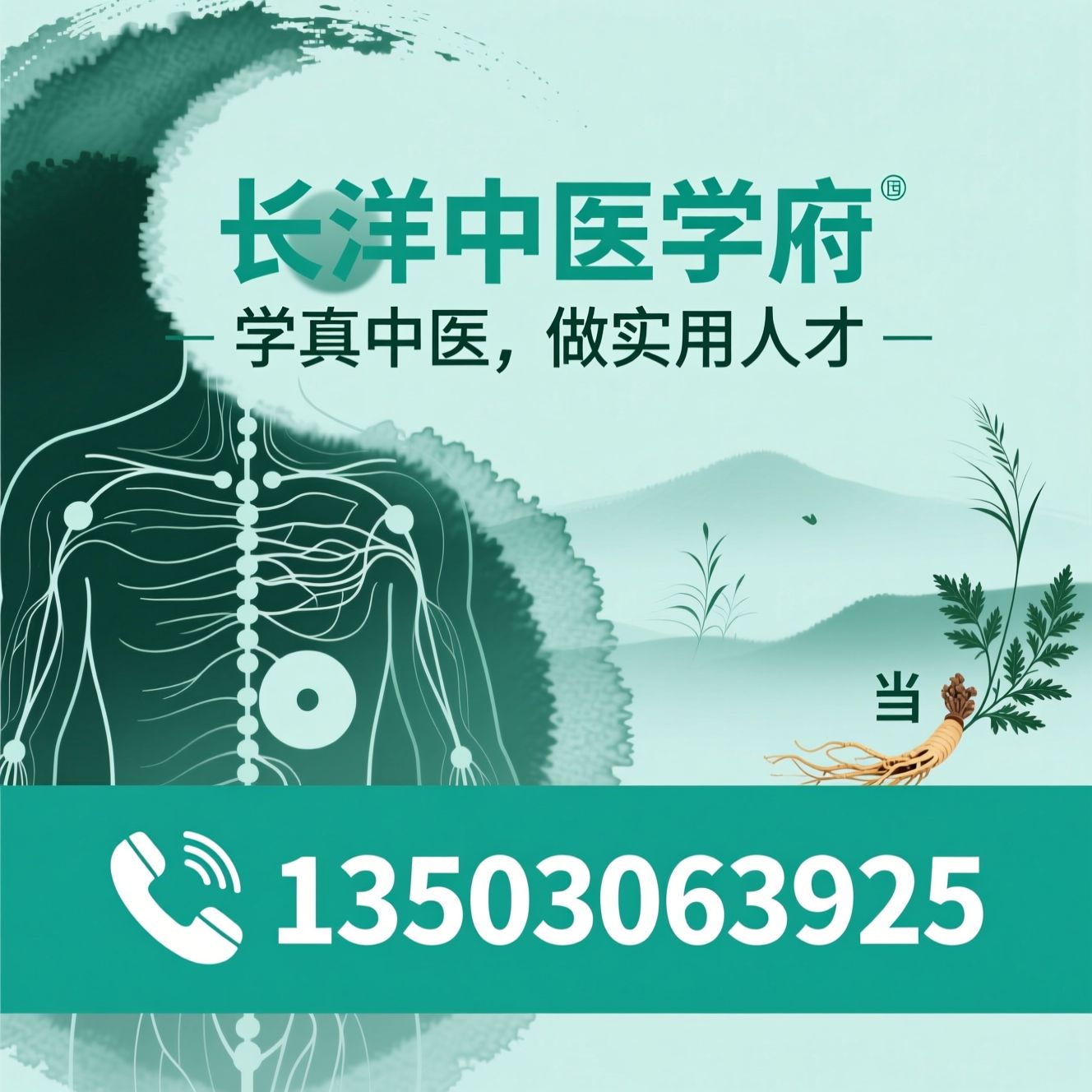 中医培训_正骨推拿培训/针灸师考证/推荐长洋中医学府服务