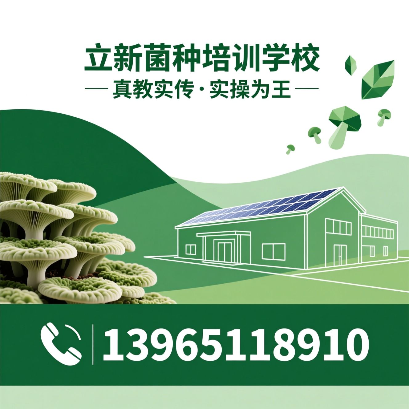 食用菌培训_菌种培育/食用菌技术/推荐立新菌种培训学校服务
