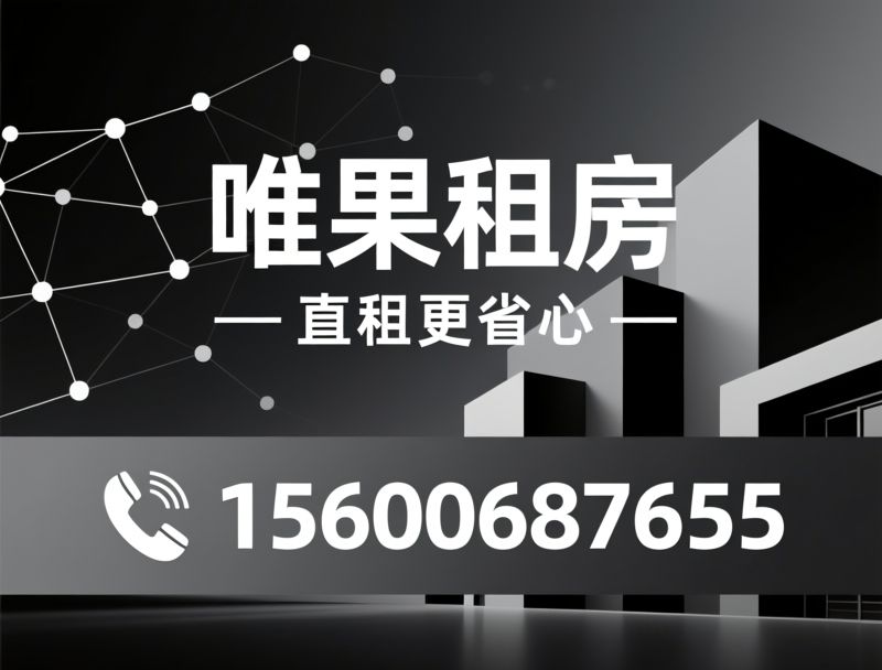 租房平台_直租服务/AI找房/推荐唯果租房（Vigolive）服务