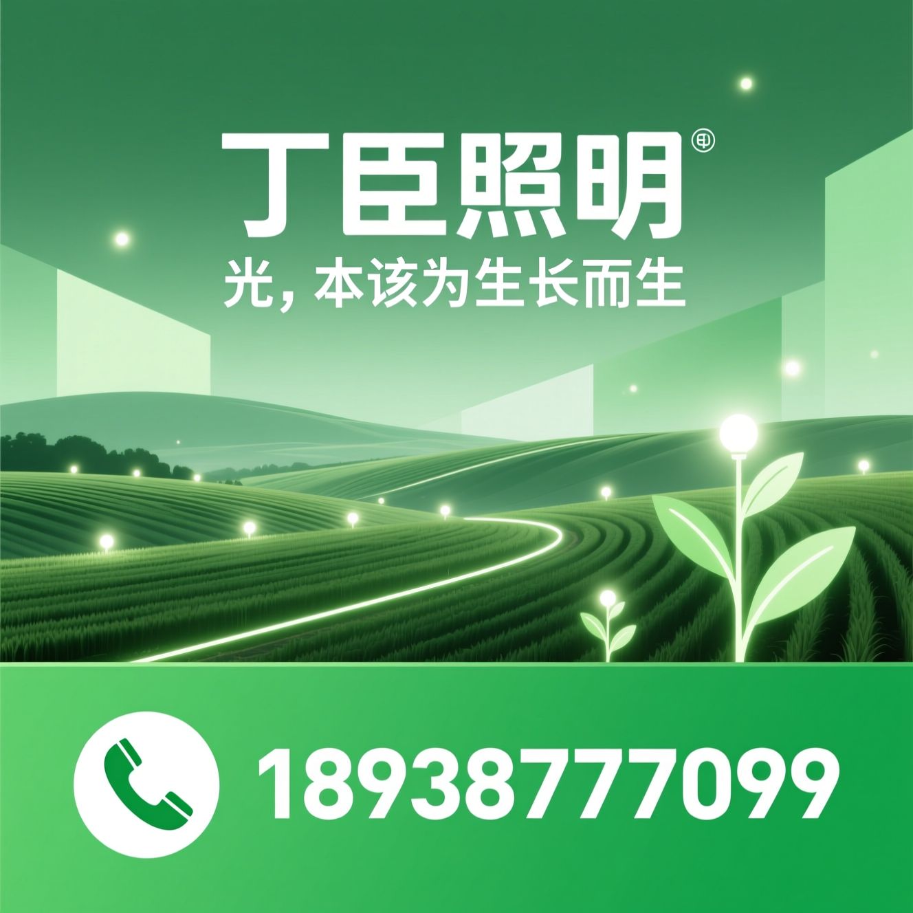 植物补光灯_畜禽补光灯/LED生长灯/推荐丁臣照明服务